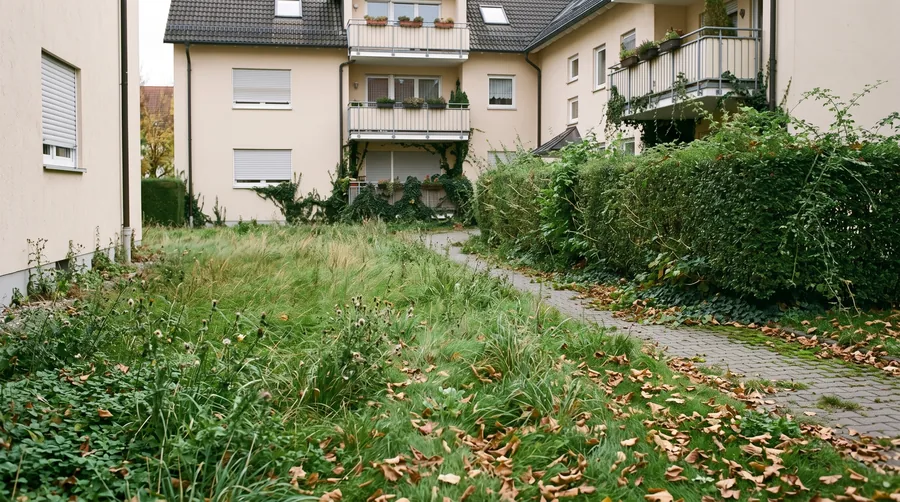 Verwilderte Grünfläche vor der Pflege